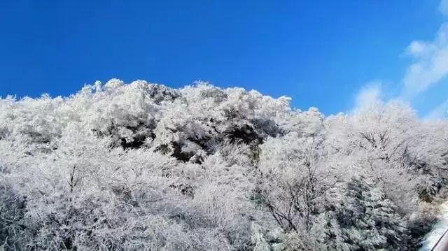 见习小魔女勇闯猪窝岛
