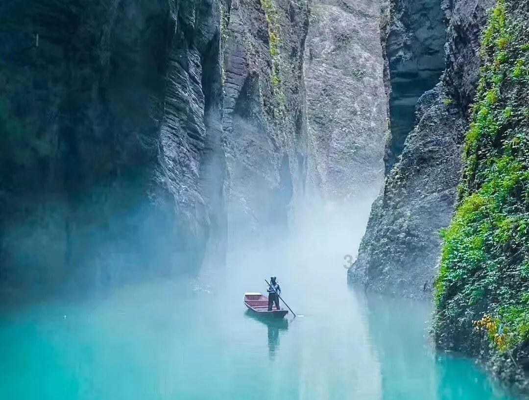 数数救伙伴