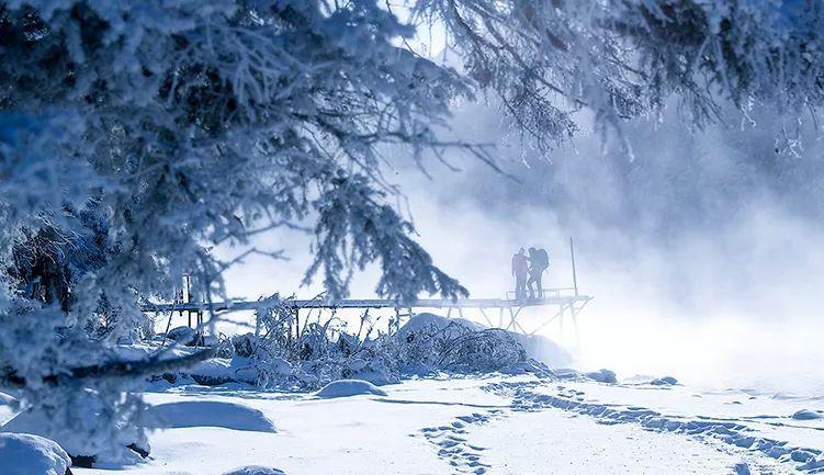 【文明实践】助力冰雪旅游 香坊区志愿者走进中国(哈尔滨)森林博物馆