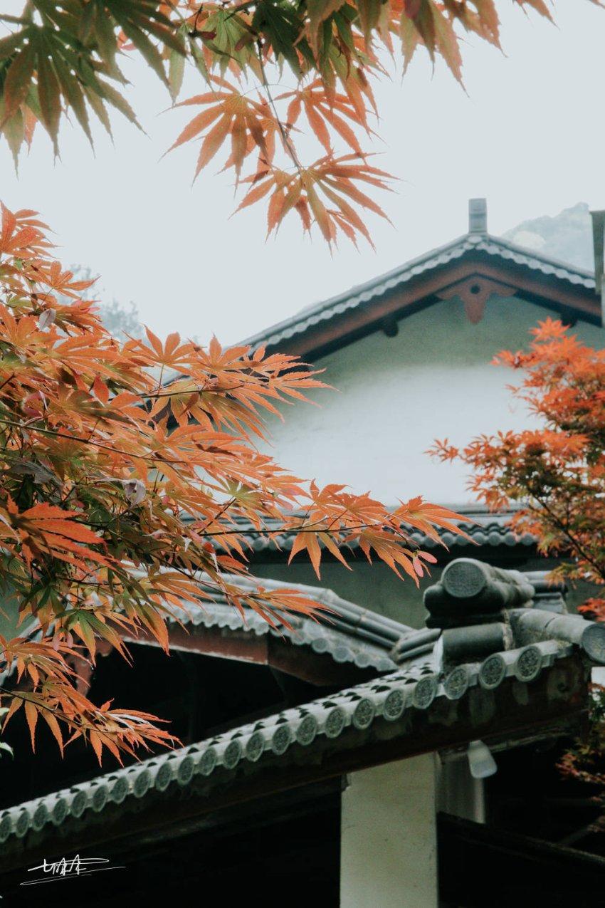 荒岛枪训
