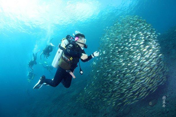 流放骑士
