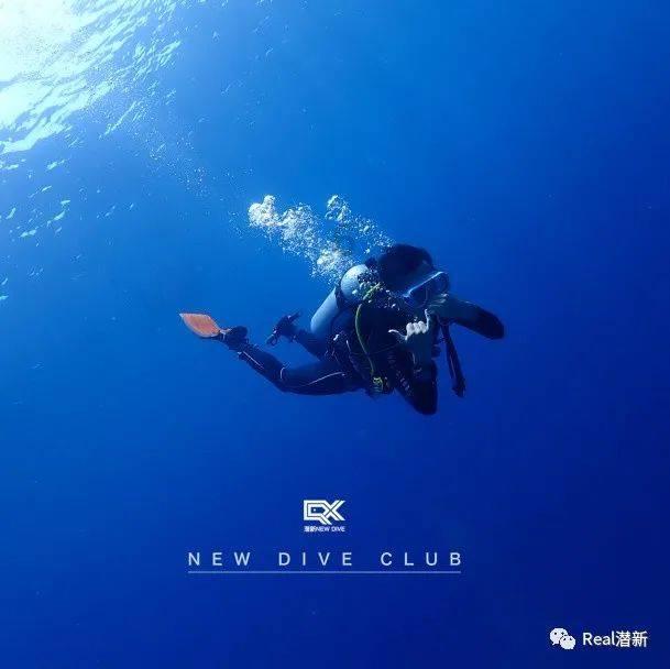奔跑的兔子
