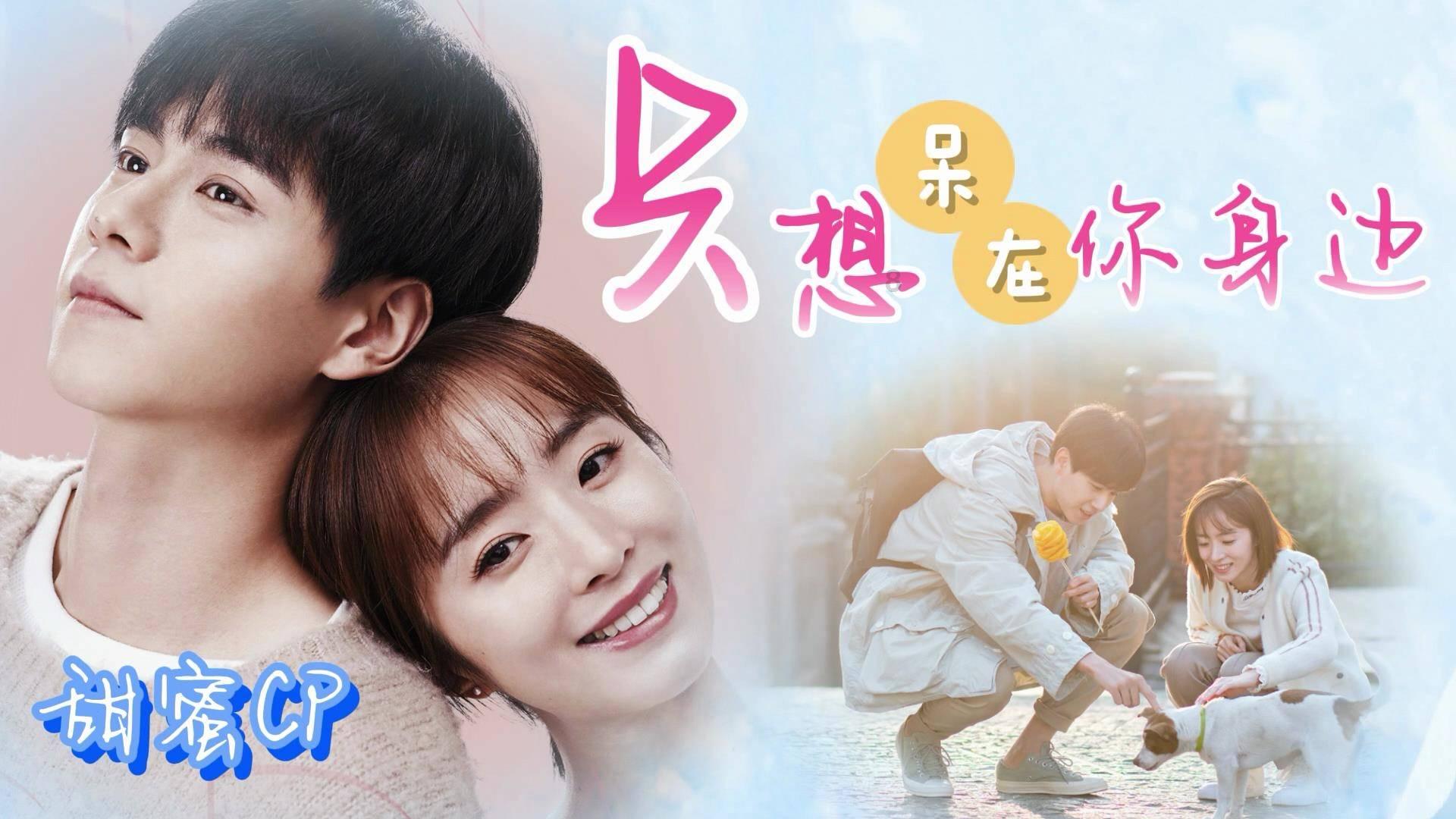 全民烧脑3去广告版