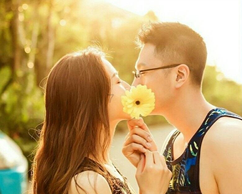 变异动物之战