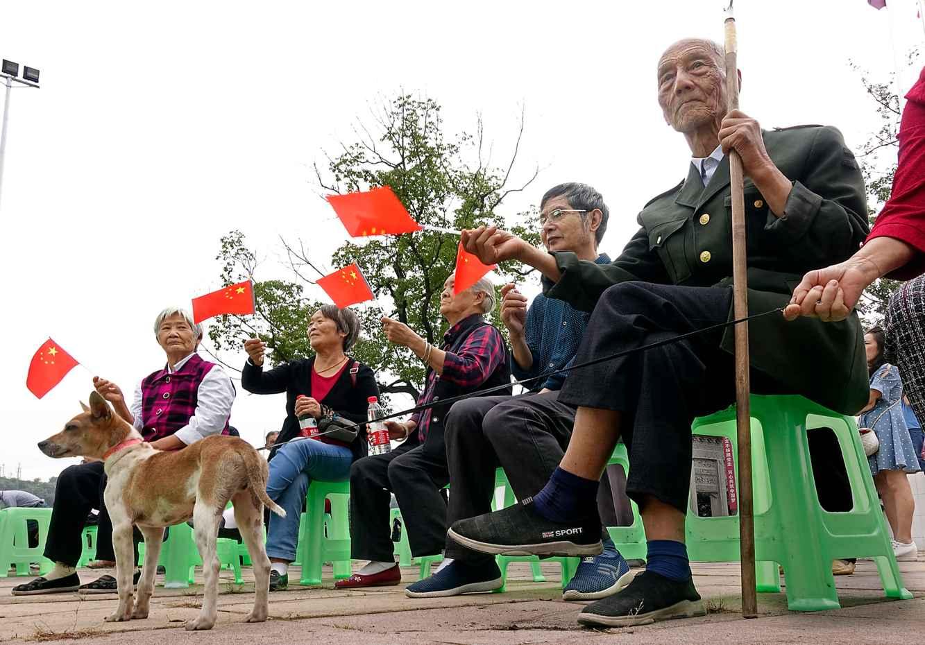 可爱小猫向上跳