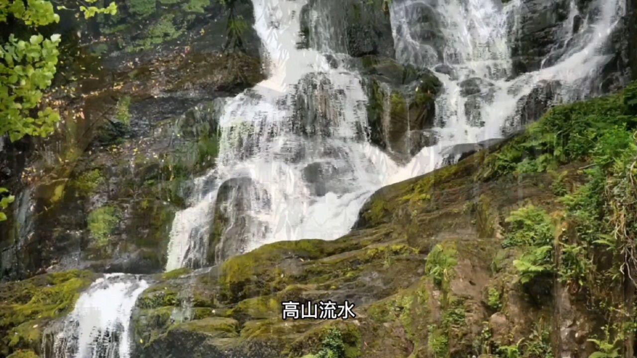 传统皇后救援