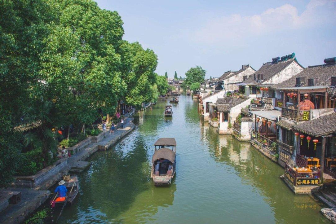 饥饿的松鼠救援