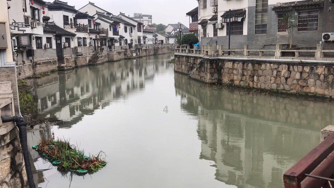 春雨直播app