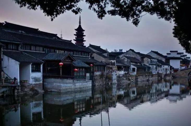 鱼是养单好还是养双好？为什么？游戏画面