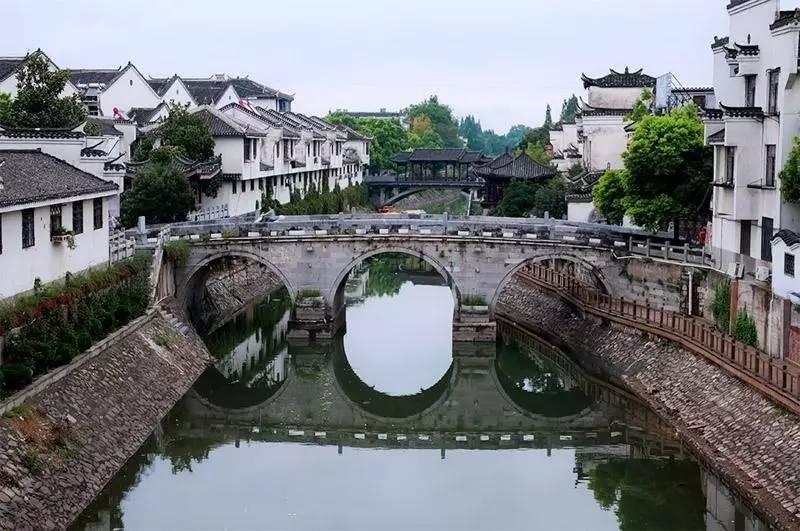 动物帮帮忙保卫家园