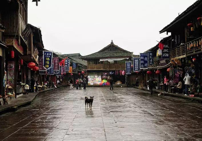 虫虫助手下载